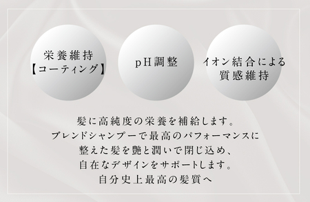 アペルタムリペアトリートメント リペア _OS058-0005