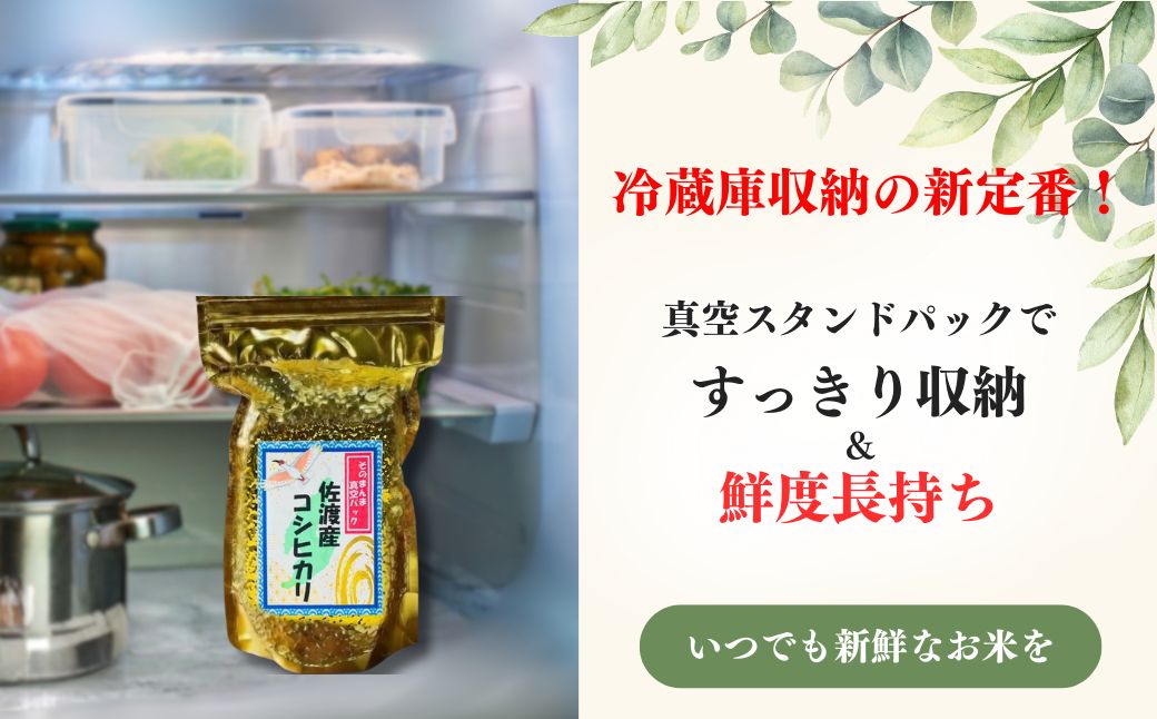 【令和7年度産米】佐渡産コシヒカリ そのまんま真空パック 900g×12袋セット