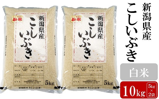 
            【令和6年産新米】お米と共に200年の松村商店直送！ こしいぶき 白米 10kg（5kg×2袋）[Y0258]
          