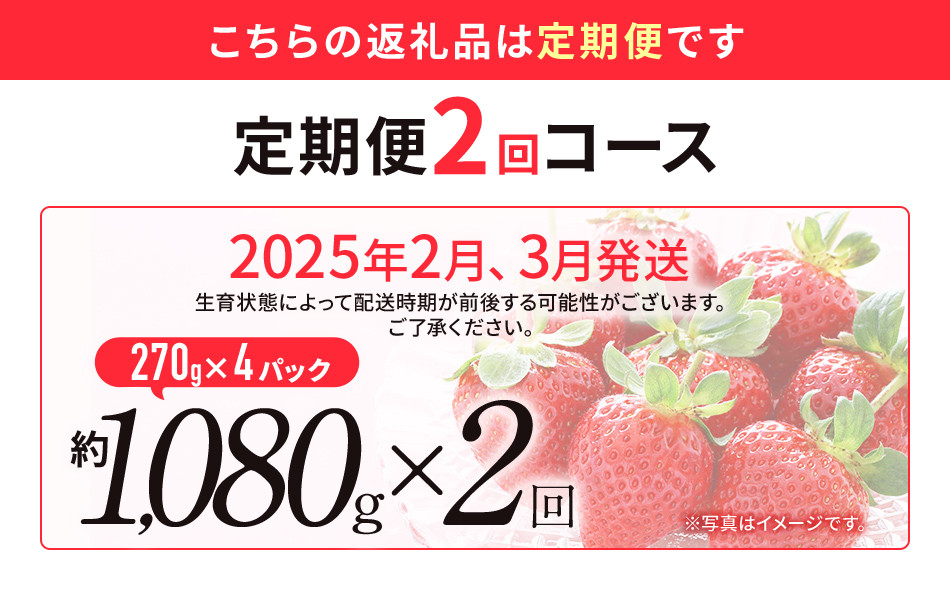 【定期便】博多あまおう 福岡県JAグループのブランドあまおういちご 1080g（約270g×4パック）×2回 ※2月・3月お届け アフター保証 いちご 博多あまおう 2025年先行予約受付 おすすめ 