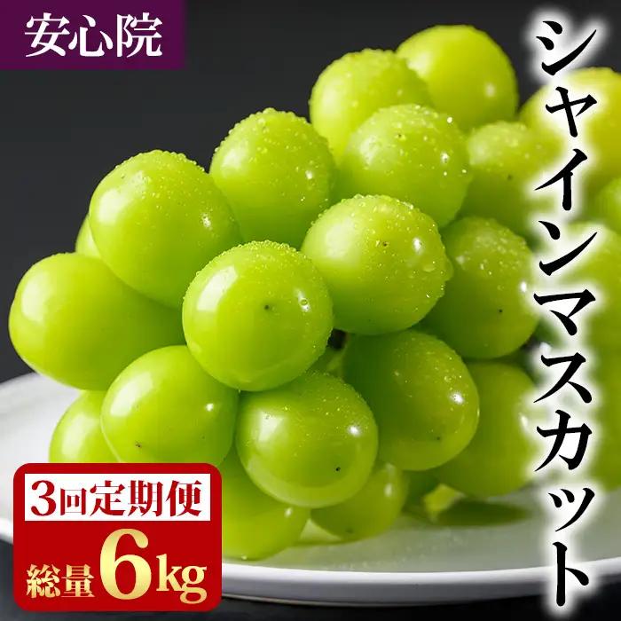 ＜定期便・全3回(連続)＞シャインマスカット(総量6kg・2kg×3回)フルーツ 果物 葡萄 ぶどう 安心院 人気 ランキング＜先行予約受付中！2026年8月下旬より順次発送予定＞＜北海道 沖縄 離島配送不可＞【206300300】【大分県農業協同組合 北部エリア】