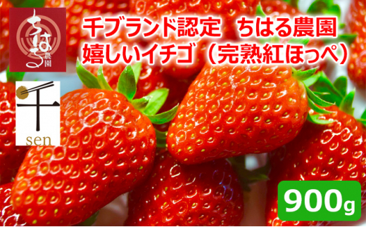 
千葉市食のブランド認定　嬉しいイチゴ　完熟紅ほっぺ　900g（2パック）【千ブランド イチゴ 苺 おやつ 果物】[№5346-0275]
