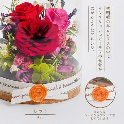 ふるさと納税 羽島市 プリザーブドフラワー ガラスケース入りアレンジ 【イネス モナ(レッド)】 |  | 01