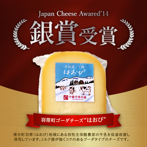 【ナチュラルチーズ】 チーズ 詰め合わせ ラクレットチーズ はおびチーズ