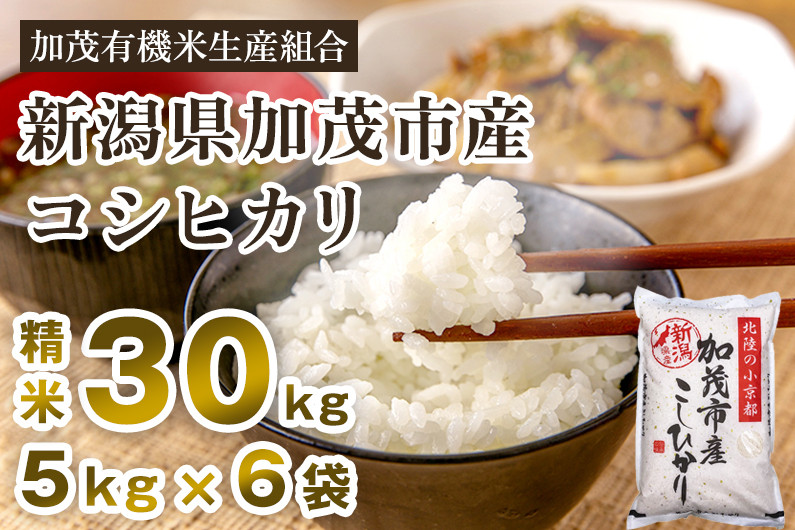 
            【令和7年産新米】新潟県加茂市産コシヒカリ 精米30kg（5kg×6）《順次出荷 》 白米 加茂有機米生産組合
          