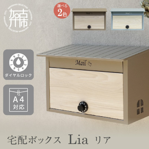 壁掛けポスト Lia リア《 ポスト 郵便ポスト 郵便受け 壁掛けポスト アンティーク 玄関 屋外 》【2502N16702】