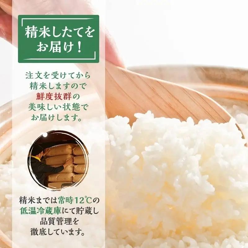 【定期便】 令和8年産 つや姫 5kg 2ヶ月連続 精米 お米 米 こめ コメ  