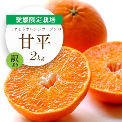 【2026年2月より順次発送】愛媛限定栽培柑橘 甘平(かんぺい)2kg【訳あり】【D25−184】【1608049】
