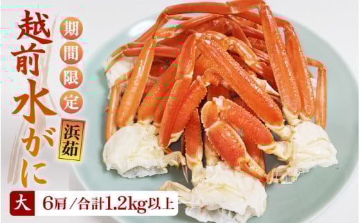 【期間限定】≪浜茹で≫越前産水がに 大サイズ 6肩（足のみ 2肩あたり400～500g） 合計1.2kg以上 産地直送！【雄 ズワイガニ 越前ガニ 足のみ ボイル 冷蔵 かに カニ 蟹 福井県 お手頃】 希望日指定可 備考欄に希望日をご記入ください [e43-x010]