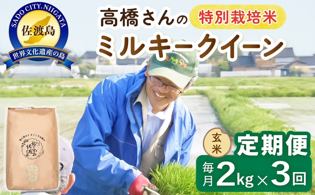 
                  【定期便 令和8年産新米 3か月】 佐渡島産ミルキークイーン 玄米 2kg 令和8年産新米 特別栽培米 高橋農園 | 新潟県産ミルキークイーン 佐渡産ミルキークイーン ミルキークイーン お米 米 玄米 げんまい おこめ コメ 2キロ にいがた さど 新潟県 佐渡市
                