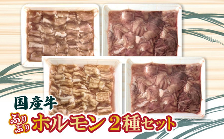 【ふるさと納税】国産牛ぷりぷりホルモン二種セット