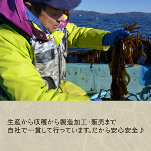 わかめ 刺身 塩蔵 わかめ 1kg