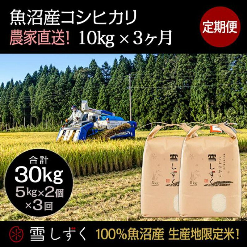【ふるさと納税】【令和7年産】定期便！魚沼産コシヒカリ【合計30kg】毎月10kg×3回 お米 ブランド米 銘柄米 精米 白米 ご飯 おにぎり お弁当 和食 産地直送 　お届け：10月以降より準備でき次第、寄付ご入金確認月の翌月より順次発送いたします
