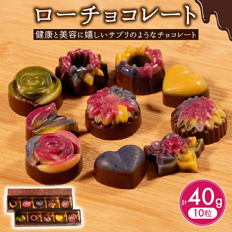 【ふるさと納税】 ローチョコレート 10個 ヴィーガン 対応 天然 植物 酵素 ビタミン ミネラル 健康 美容 チョコレート チョコ 食物繊維 10 大阪府 松原市