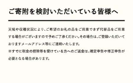 《先行予約》2024年 山形県産 「真夏のルビー紅姫」本詰 約500g L～2L やまのべ多田耕太郎のさくらんぼ サクランボ F20A-786