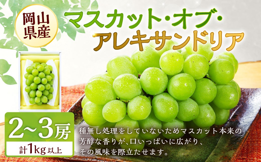 
            マスカット・オブ・アレキサンドリア 2～3房 （合計1.0kg以上） 【2026年8月下旬～9月下旬 発送予定】 マスカット ぶどう 葡萄 ブドウ 果物 くだもの フルーツ ギフト お取り寄せ 国産
          