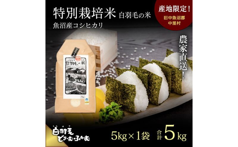 
            【通年受付】≪令和7年産≫ 農家直送！魚沼産コシヒカリ特別栽培「白羽毛の米」精米(5kg×1袋) 5kg お米 白米 
          