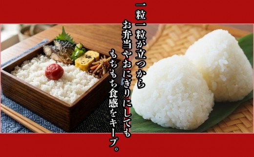 新米 ななつぼし 5kg 令和8年産 北海道産 精米【先行予約・2026年11月下旬から順次発送】山口農園