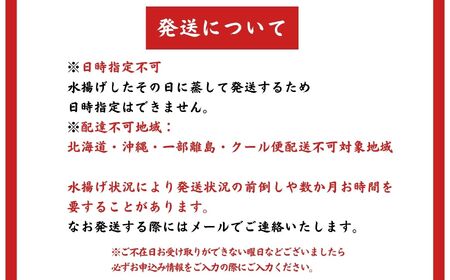 【日本海直送】紅ズワイガニ 特大(700g)2尾 鮮度抜群！蒸しガニ ベニズワイガニ 親不知おさかなセンター