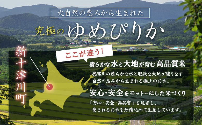 【令和7年度産】ゆめぴりか精米 (10kg)【11070】 単品（10kg）