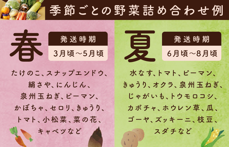 泉州野菜 定期便 全12回 15種類以上 詰め合わせ 国産 新鮮 冷蔵【毎月配送コース】 099Z189