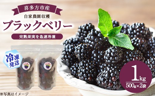 【冷凍】喜多方市産ブラックベリー　1kg　【07208-1038】