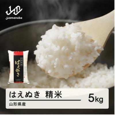 ふるさと納税 山辺町 【2026年4月上旬〜4月中旬頃に発送予定】はえぬき 精米 5kg tf-hasxb5-4f