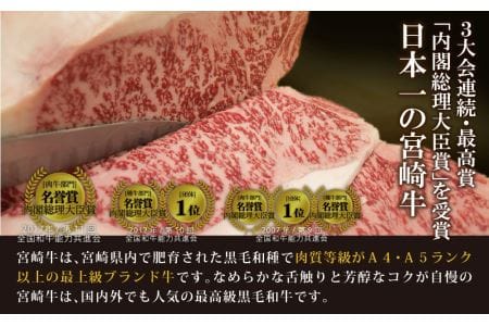 【定期便】宮崎牛豪華バラエティ6か月コース 4.6kg（36-201）