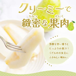 【2025年産 先行予約】 洋なし「ラ・フランス」3kg 山形県 東根市 JA提供 hi003-133-1  令和7年産 2025年産 ラフランス セイヨウナシ 洋梨 洋ナシ 有りの実 梨の実 ペヤ 