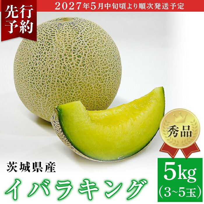 【ふるさと納税】フルーツ 先行予約 メロン 茨城 秀品 082-3 イバラキング 秀品 3~5玉 約5kg 茨城県 JA水戸産