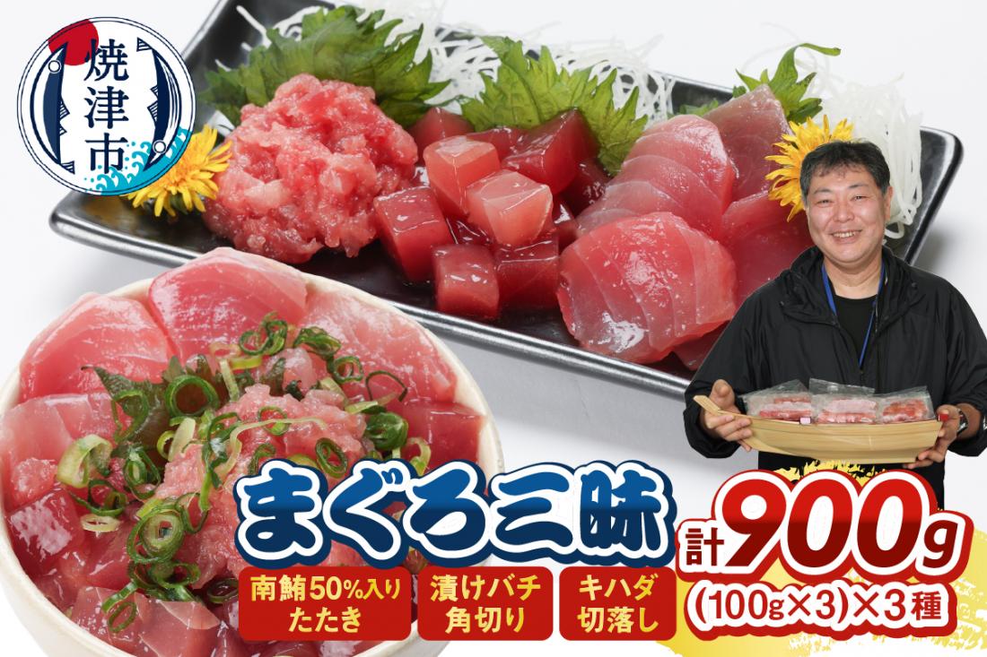 a10-1212　まぐろ三昧セット