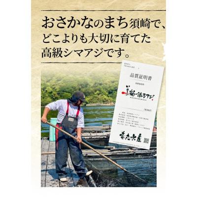 ふるさと納税 須崎市 高級シマアジ 美粕祇万アジ 250g |  | 01