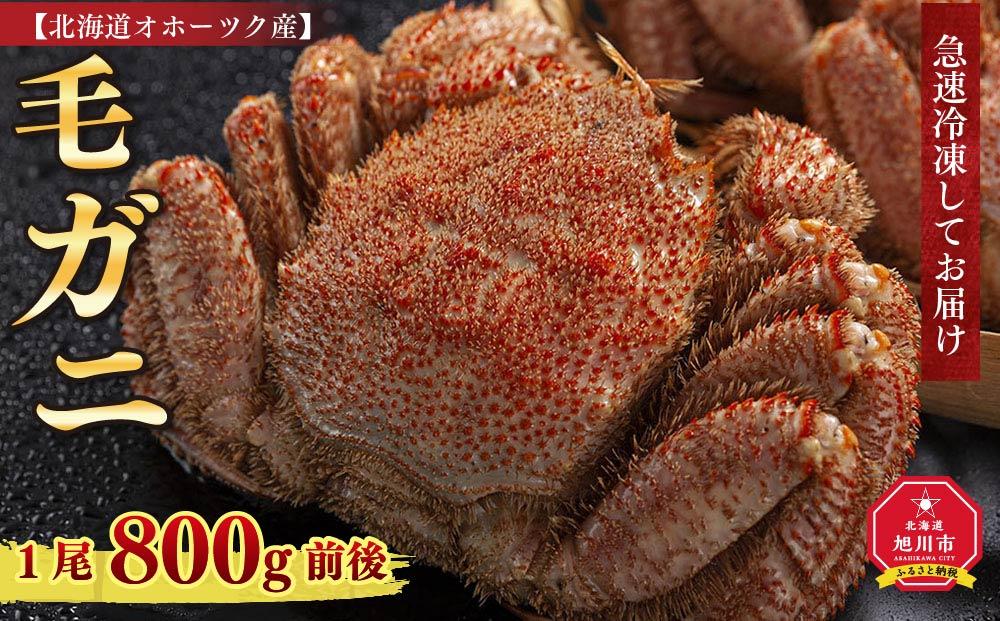 北海道オホーツク産　毛ガニ　1尾　800ｇ前後 _01190