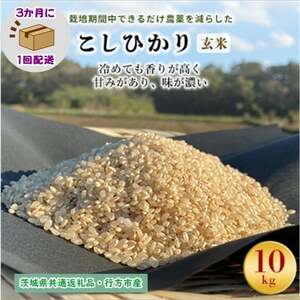 【3ヵ月毎定期便】栽培期間中できるだけ農薬を減らすこしひかり玄米10kg茨城共通返礼品行方産全4回【4055853】