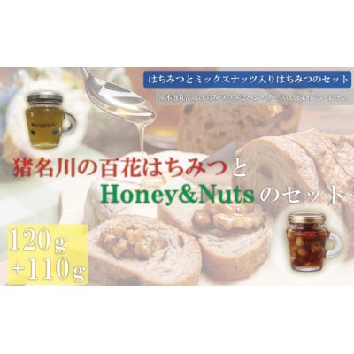 猪名川の百花はちみつ(桜)＆ハニーナッツ1本ずつ(計2本)セット