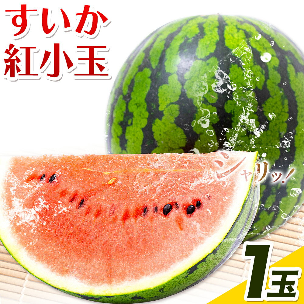 【ふるさと納税】すいか 紅小玉 1玉 わらく農園《2026年7月上旬-2026年7月下旬頃出荷》熊本県 津奈木町 青果物 すいか 西瓜 スイカ 果物 フルーツ