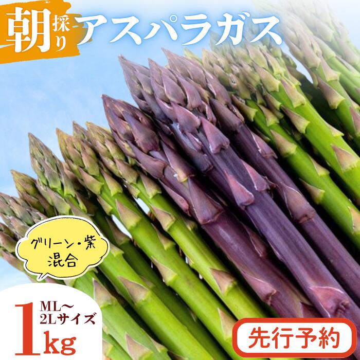 【ふるさと納税】＜先行予約＞やまに農産「朝採りアスパラガス」1kg（限定10セット）岩手県　西和賀町　やまに　アスパラ　あすぱら