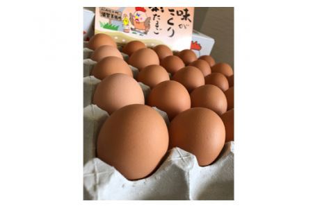 彩たまご うみたてたまご50個入り 化粧箱 80サイズ【養鶏場直送 卵 たまご 新鮮 卵 たまご】