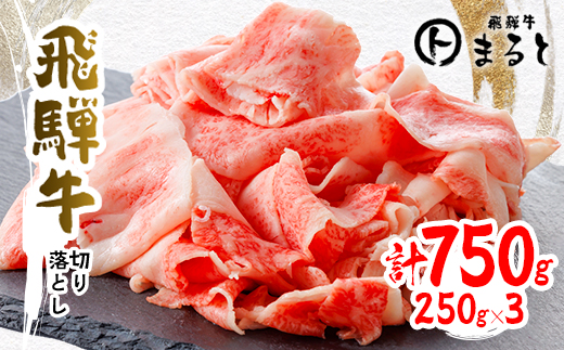 
                  ＜飛騨牛＞切り落とし250g×3　合計750g【1731551】
                