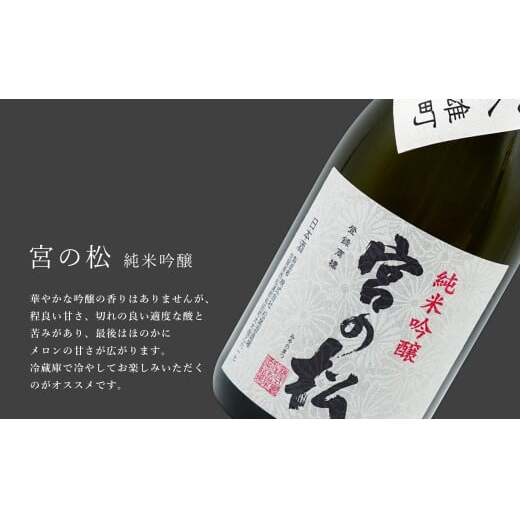 《The SAGA 認定酒》 さがん酒 Kura Masterプラチナ賞 東一 山田錦 特別純米酒 / 宮の松 純米吟醸酒 720ml×2本 【佐嘉蔵屋】佐賀 有田町 山田錦 特別純米 宮の松 純米吟