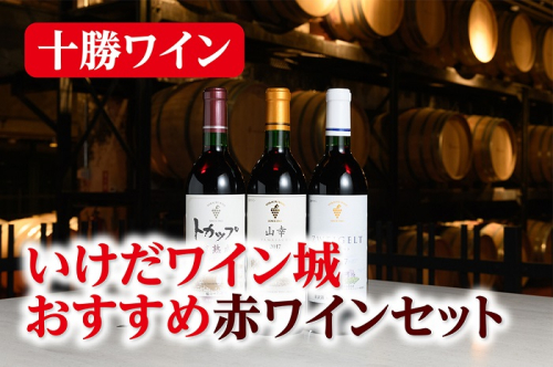 十勝ワイン いけだワイン城おすすめ赤ワインセット3本 山幸 ツバイゲルト 樽熟成 赤ワイン 北海道ワイン 北海道池田町