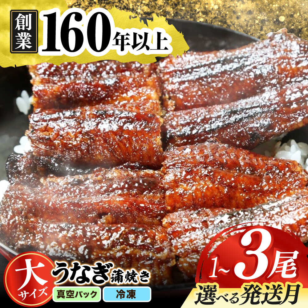 【ふるさと納税】【選べる発送月・容量】【うなぎや】 炭火焼 うなぎの蒲焼き【紀州備長炭使用】 鰻 うなぎ ウナギ 土用の丑の日 丑の日 蒲焼き 蒲焼 老舗 真空パック 特大 大 特上 送料無料 多治見市 [TFO001]