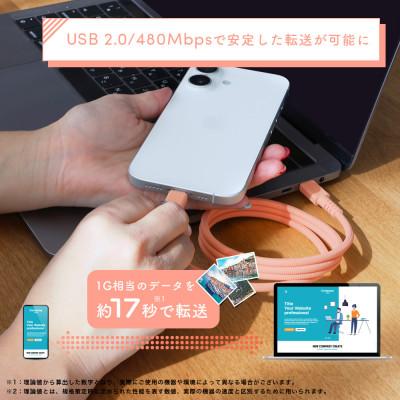 ふるさと納税 海老名市 マグネットケーブル C to C 1m ウォームピーチ(MOT-MGCC100-OR) |  | 02