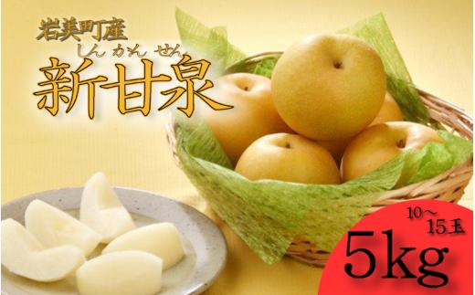【先行予約】中野農園 梨 ”新甘泉” 5kg箱｜鳥取 岩美 梨 なし ナシ  赤梨 果物 フルーツ【41021】