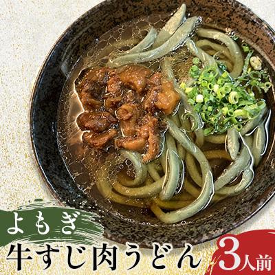 ふるさと納税 嘉麻市 よもぎ牛すじ肉うどん 3人前(嘉麻市)