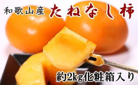 【秋の味覚】和歌山産のたねなし柿2L～4Lサイズ約2kg（化粧箱入り）★2024年10月上旬頃より順次発送【TM39】