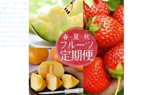 ≪3回定期便≫ 自然の恵み 春・夏・秋フルーツ定期便2026 4月下旬～5月下旬 おとめ心 いちご 6月下旬～7月中旬 砂丘育ちの甘えんぼう 青肉メロン 10月中旬～11月下旬 庄内柿 計3回 山形県
