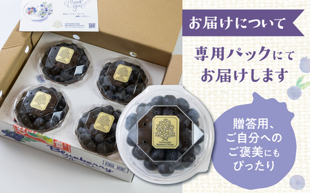 生ブルーベリー 400g 贈答用 国産 ブルーベリー