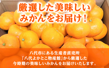 熊本県八代市産 ご家庭用みかん5kg 蜜柑 柑橘 ミカン