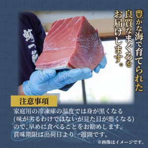 【全3回定期便】鷹島産本まぐろ 赤身と中トロ合わせて1kg　まぐろ丼たれ付き【K32-001】（本マグロ 本まぐろ 本鮪 鮪 マグロ 鷹島産 海鮮 まぐろ 漬け丼 魚介類 中トロ 赤身 松浦 海鮮丼 